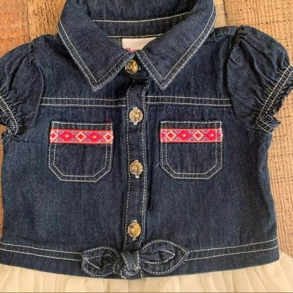 Nannette Kids Girls Size 2T Denim And Tulle Dress With Embroidered Roses - Picture 4 of 8